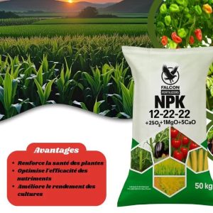 Engrais granulé soluble NPK 12-22-22 50 kg – Maïs, riz, cultures maraichères, banane