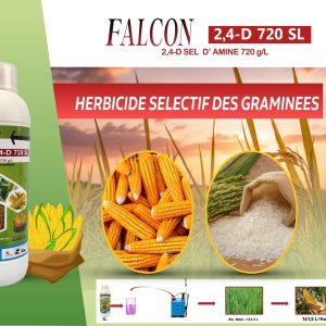 Herbicide liquide sélectif FALCON 2,4-D 720 SL 1 litre – Maïs, riz, canne à sucre