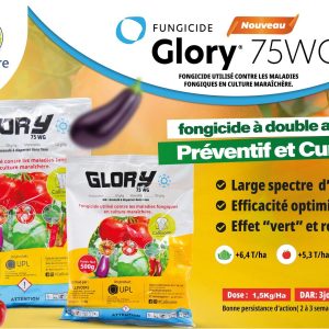 Fongicide granulé GLORY 75 WG 1 kg – Cultures maraichères