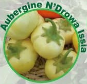 Semence d&rsquo;AUBERGINE AFRICAINE N&rsquo;DROWA ISSIA 50 gr