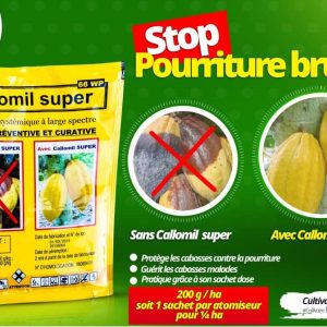 Fongicide granulé CALLOMIL SUPER 66 WP 50 gr – Spécial cacao