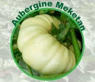 Semence d&rsquo;AUBERGINE SUPER MEKETAN 50 gr
