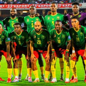 Maillot de football Domicile CAMEROUN 5 étoiles CAN Pro max 2025-26