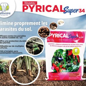Anti-parasites granulé PYRICAL SUPER 34 GR 1 kg – Sol en cultures maraichères