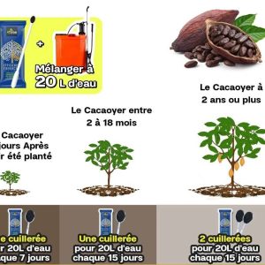 Engrais poudre ionique biologique 100% naturel 4THREE 5 gr – Cacao