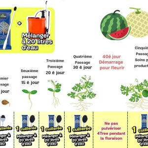Engrais poudre ionique biologique 100% naturel 4THREE 5 gr – Pastèque