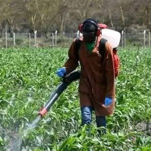 Atomiseur CIFARELLI NUVOLA 5HP 12 litres – Agriculture, hygiène publique