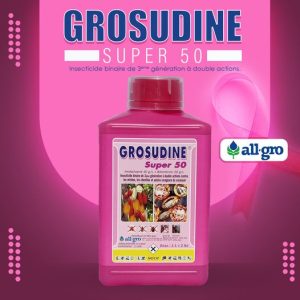 Insecticide liquide binaire GROSUDINE SUPER 50 EC 1 litre – Cacao