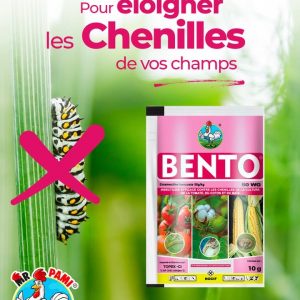 Insecticide granulé BENTO 50 WG 10 gr – Cultures maraichères