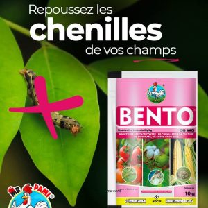Insecticide granulé BENTO 50 WG 10 gr – Cultures maraichères