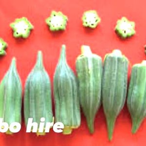 Semence de GOMBO HIRE 500 gr