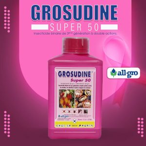 Insecticide liquide binaire GROSUDINE SUPER 50 EC 1 litre – Cacao