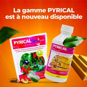 Insecticide granulé PYRICAL SUPER 34 GR 1 kg – Sol en cultures maraichères