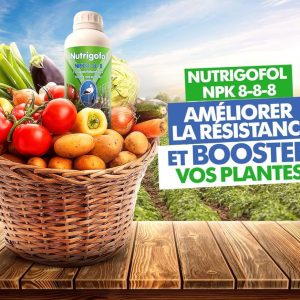 Engrais foliaire NUTRIGOFOL NPK 8-8-8 1 litre – Cultures maraichères, légumes
