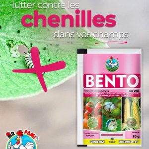 Insecticide granulé BENTO 50 WG 10 gr – Cultures maraichères