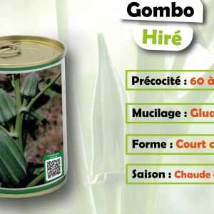 Semence de GOMBO HIRE 50 gr