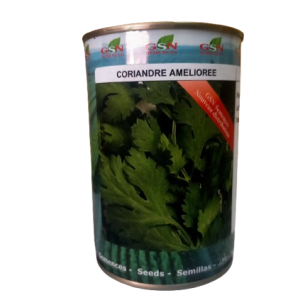Semence de CORIANDRE AMELIOREE 100 gr