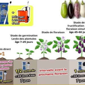 Engrais poudre ionique biologique 100% naturel 4THREE 5 gr – Aubergine
