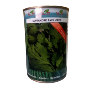 Semence de CORIANDRE AMELIOREE 100 gr