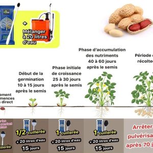 Engrais poudre ionique biologique 100% naturel 4THREE 5 gr – Arachide