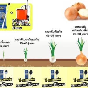 Engrais poudre ionique biologique 100% naturel 4THREE 5 gr – Oignon