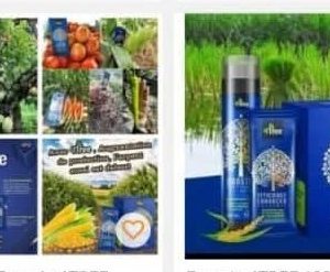 Engrais poudre ionique biologique 100% naturel 4THREE 50 gr – Tous types de plantes