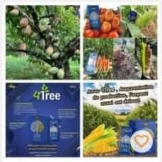 Engrais poudre ionique biologique 100% naturel 4THREE 5 gr – Cacao