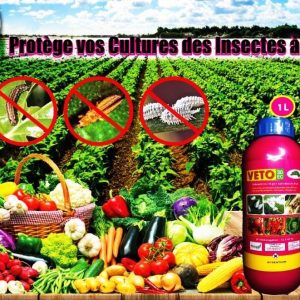 Insecticide liquide VETO 30 EC 1 litre – Cultures maraichères