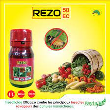 Insecticide liquide REZO 50 EC 1 litre – Cultures maraichères