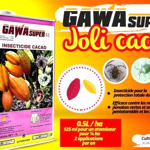 Insecticide liquide GAWA SUPER 45 EC 1 litre – Spécial cacao