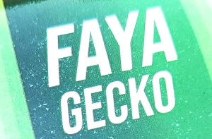 Insecticide anti-salamandres 100% naturel FAYA GECKO 100 ml – Domicile, bureau, hygiène