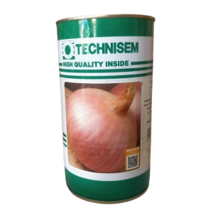 Semence d&rsquo;OIGNON ROUGE SAFARI 500 gr