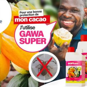 Insecticide liquide GAWA SUPER 45 EC 1,5 litre – Spécial cacao