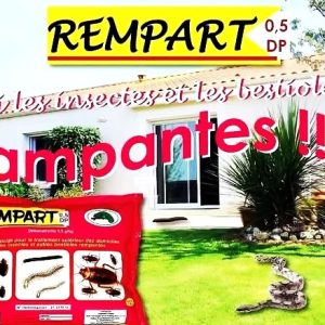 Poudre insecticide anti-serpents REMPART 0,5 DP 1 kg – Domicile, bureau, école, ferme, champ, chantier, hygiène publique, environnement
