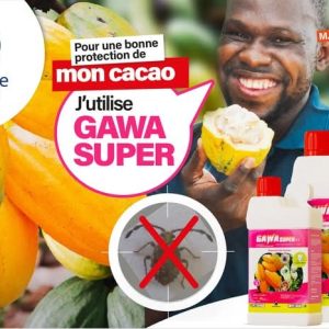 Insecticide liquide GAWA SUPER 45 EC 1 litre – Spécial cacao