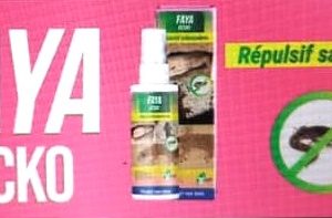 Insecticide anti-salamandres 100% naturel FAYA GECKO 100 ml – Domicile, bureau, hygiène