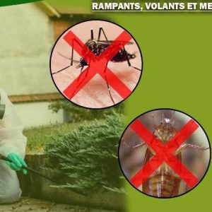 Insecticide poudre anti-nuisibles 2.5 DP 1 kg – Domiciles, résidences, hôtels, bureau, fermes, chantiers, champs, hygiène publique et environnement