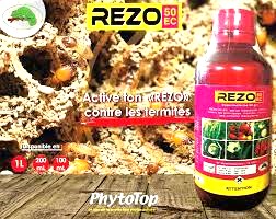 Insecticide liquide REZO 50 EC 1 litre – Cultures maraichères