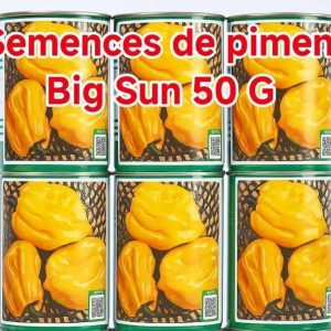 Semence de  PIMENT BIG SUN (Sent Bon) 50 gr