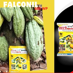 Fongicide poudre FALCONIL 660 WP 50 gr – Spécial cacao