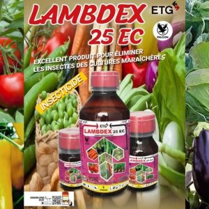 Insecticide liquide LAMBDEX 25 EC 100 ml – Cultures maraichères