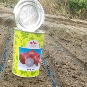 Semence d’OIGNON PREMA 100 gr