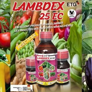 Insecticide liquide LAMBDEX 25 EC 1 litre – Cultures maraichères