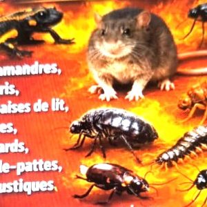 Insecticide poudre anti-nuisibles 2.5 DP 1 kg – Domiciles, résidences, hôtels, bureau, fermes, chantiers, champs, hygiène publique, environnement