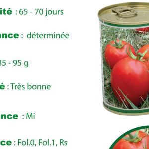 Semence de TOMATE MONA 50 gr