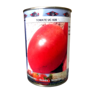 Semence de TOMATE UC 82 B 100 gr