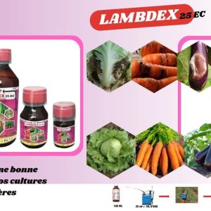 Insecticide liquide LAMBDEX 25 EC 1 litre – Cultures maraichères