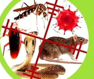 Poudre insecticide répulsif serpents 2.5 DP 1 kg – Domiciles, résidences, hôtels, bureau, fermes, chantiers, champs, hygiène publique, environnement