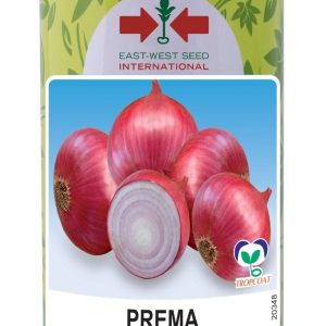 Semence d’OIGNON PREMA 500 gr