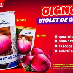 Semence d’OIGNON VIOLET DE GALMI 100 gr